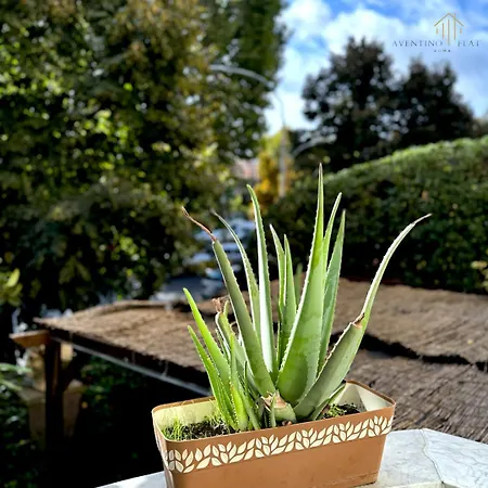 Appartement Aventino Flat